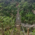 A picture of a precarious-looking bridge, crossing a canyon, if you look closely, you can see two baboons on the other side.